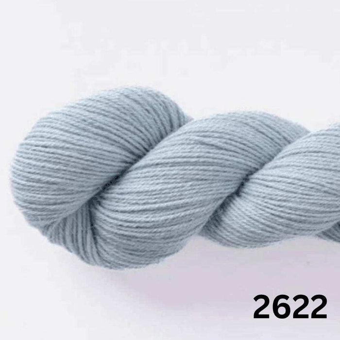 Amano Duna - 4Ply-Yarn-Wentworth Distributors-Oasis Mist (2622)-Wild & Woolly Yarns