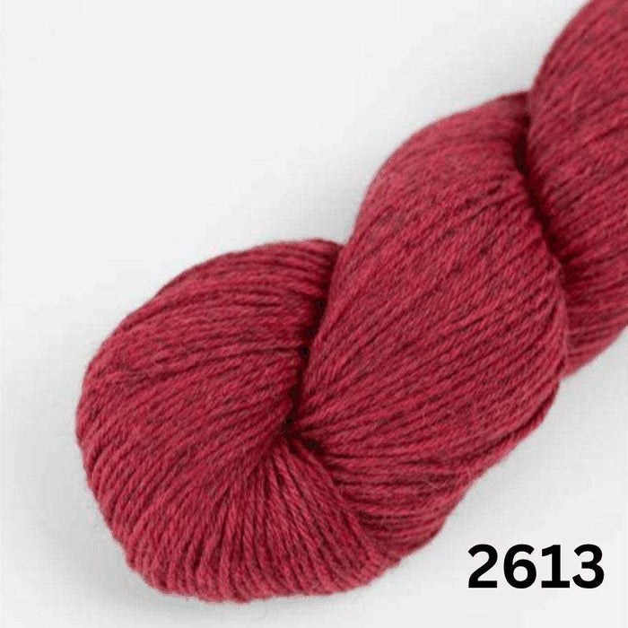 Amano Duna - 4Ply-Yarn-Wentworth Distributors-Sahara (2613)-Wild & Woolly Yarns
