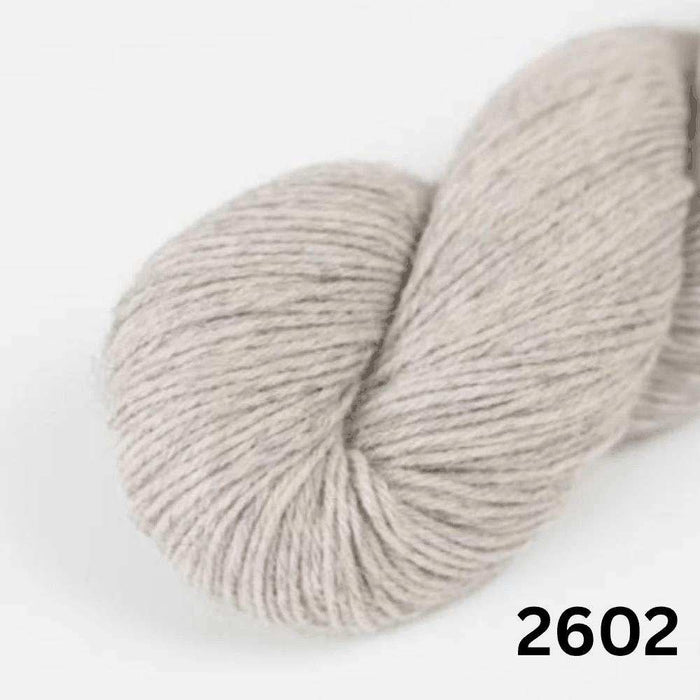 Amano Duna - 4Ply-Yarn-Wentworth Distributors-Sandhills (2602)-Wild & Woolly Yarns