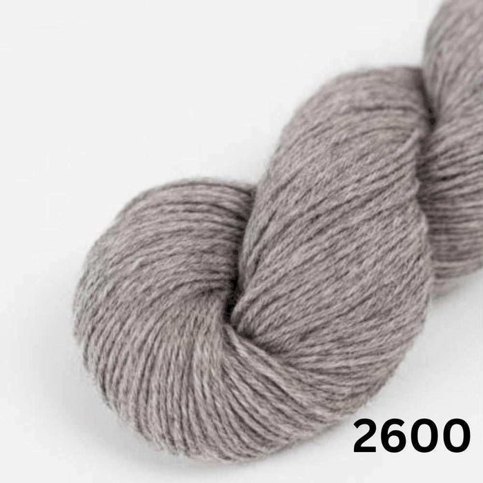 Amano Duna - 4Ply-Yarn-Wentworth Distributors-Stony (2600)-Wild & Woolly Yarns