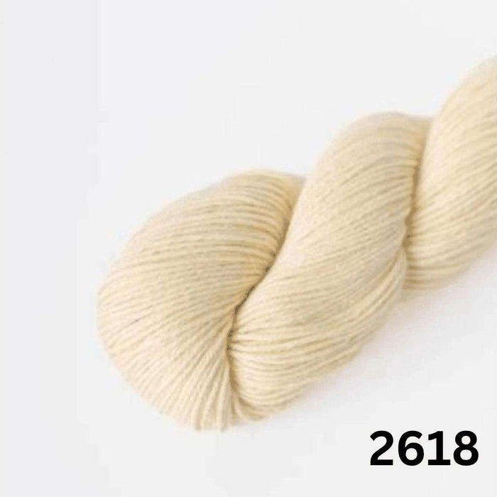 Amano Duna - 4Ply-Yarn-Wentworth Distributors-Sunwashed Dune (2618)-Wild & Woolly Yarns