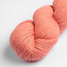 Amano Sami - 8Ply-Yarn-Wentworth Distributors-Coral (1808)-Wild & Woolly Yarns