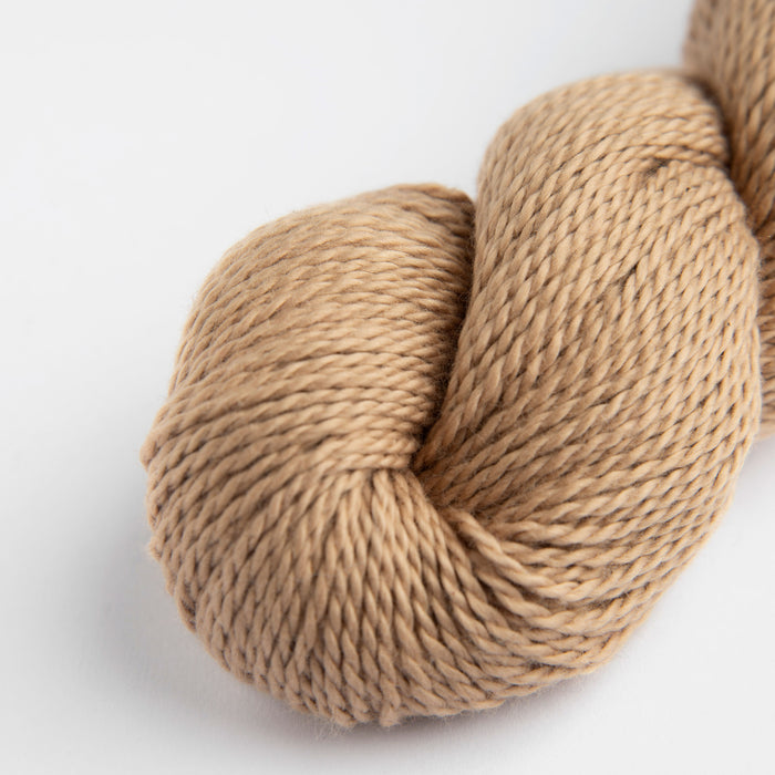 Amano Sami - 8Ply-Yarn-Wentworth Distributors-Macadamia (1818)-Wild & Woolly Yarns
