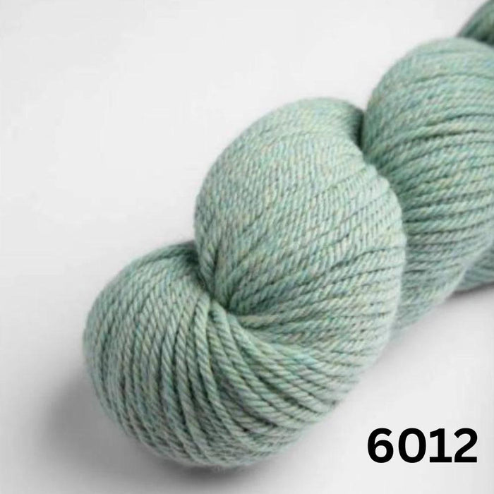 Amano Warmi 10Ply-Yarn-Wentworth Distributors-Chirimoya Green (6012)-Wild & Woolly Yarns