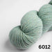 Amano Warmi 10Ply-Yarn-Wentworth Distributors-Chirimoya Green (6012)-Wild & Woolly Yarns