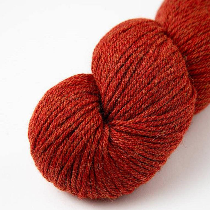 Amano Warmi 10Ply-Yarn-Pumpkin (6027)-Wild &amp; Woolly Yarns