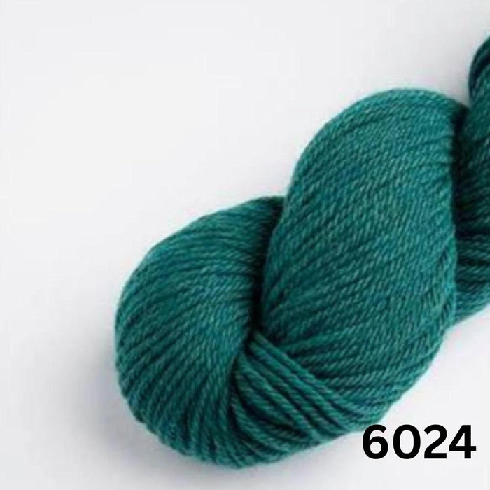 Amano Warmi 10Ply-Yarn-Wentworth Distributors-Wild Seas (6024)-Wild & Woolly Yarns