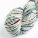 Amano Warmi Journeys 10Ply-Yarn-Wentworth Distributors-Botanical (6111)-Wild & Woolly Yarns