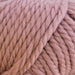 Broadway Chunky Merino-Yarn-Trendy Trims-Pink (464)-Wild & Woolly Yarns