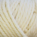 Broadway Chunky Merino-Yarn-Trendy Trims-Pink (464)-Wild & Woolly Yarns
