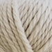 Broadway Chunky Merino-Yarn-Trendy Trims-Pink (464)-Wild & Woolly Yarns