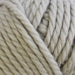 Broadway Chunky Merino-Yarn-Trendy Trims-Pink (464)-Wild & Woolly Yarns