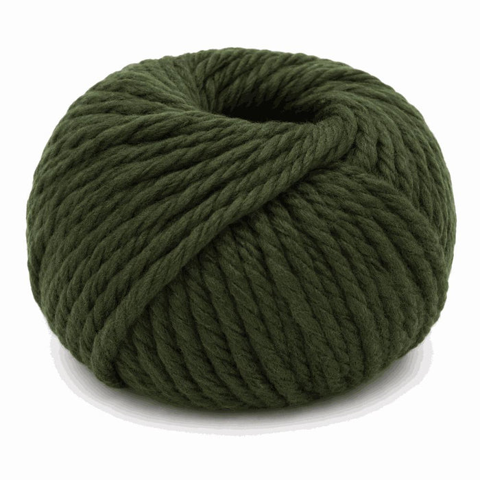 Broadway Chunky Merino-Yarn-Trendy Trims-Fern (4647)-Wild & Woolly Yarns