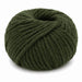 Broadway Chunky Merino-Yarn-Trendy Trims-Fern (4647)-Wild & Woolly Yarns