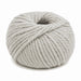 Broadway Chunky Merino-Yarn-Trendy Trims-Silver (4346)-Wild & Woolly Yarns