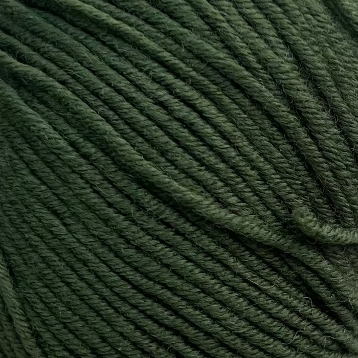 Broadway Merino - 8Ply-Yarn-Trendy Trims-Basil (006)-Wild & Woolly Yarns