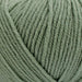 Broadway Merino - 8Ply-Yarn-Trendy Trims-Sage (0703)-Wild & Woolly Yarns