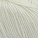 Broadway Merino - 8Ply-Yarn-Trendy Trims-White (0001)-Wild & Woolly Yarns