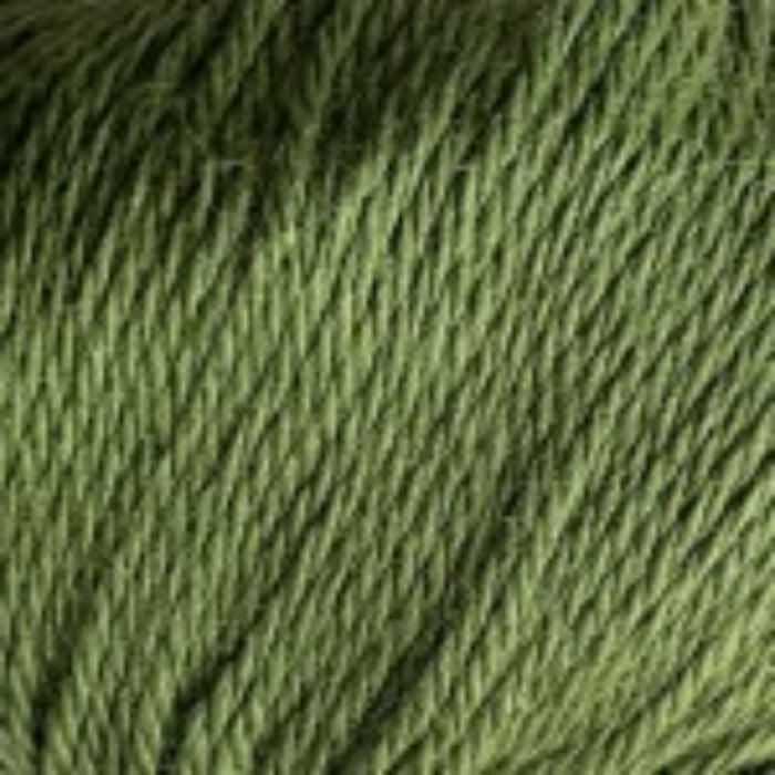 Chaska Muhu – 100% Baby Alpaca DK Yarn-Yarn-Wentworth Distributors-Forest Green (765)**-Wild & Woolly Yarns