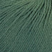 Chaska Muhu – 100% Baby Alpaca DK Yarn-Yarn-Wentworth Distributors-Juniper Oil Green (767)-Wild & Woolly Yarns