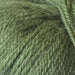 Crucci Aella Alpaca Merino - 8ply-Yarn-Crucci-Pickle (1450)-Wild & Woolly Yarns