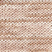 Crucci Pure Cotton Variegated - 8ply-Yarn-Wild and Woolly Yarns