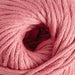 DMC Natura Just Cotton XL-Yarn-Wild and Woolly Yarns