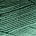 Loyal 8ply – 100% Wool-Yarn-Wentworth Distributors-Celadon (1013)-Wild & Woolly Yarns