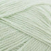 Loyal 8ply – 100% Wool-Yarn-Wentworth Distributors-Mint (973)-Wild & Woolly Yarns
