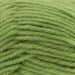 Loyal 8ply – 100% Wool-Yarn-Wentworth Distributors-Pear (959)-Wild & Woolly Yarns