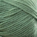 Loyal 8ply – 100% Wool-Yarn-Wentworth Distributors-Sage (979)-Wild & Woolly Yarns