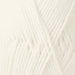 Loyal NZ 8ply-Yarn-Wentworth Distributors-White (900)-Wild & Woolly Yarns