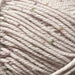 Loyal Vegas Tweed 8ply-Yarn-Wild and Woolly Yarns