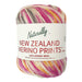New Zealand Merino Prints 8 Ply-Yarn-Wentworth Distributors-0179-Wild & Woolly Yarns