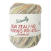New Zealand Merino Prints 8 Ply-Yarn-Wentworth Distributors-1353-Wild & Woolly Yarns