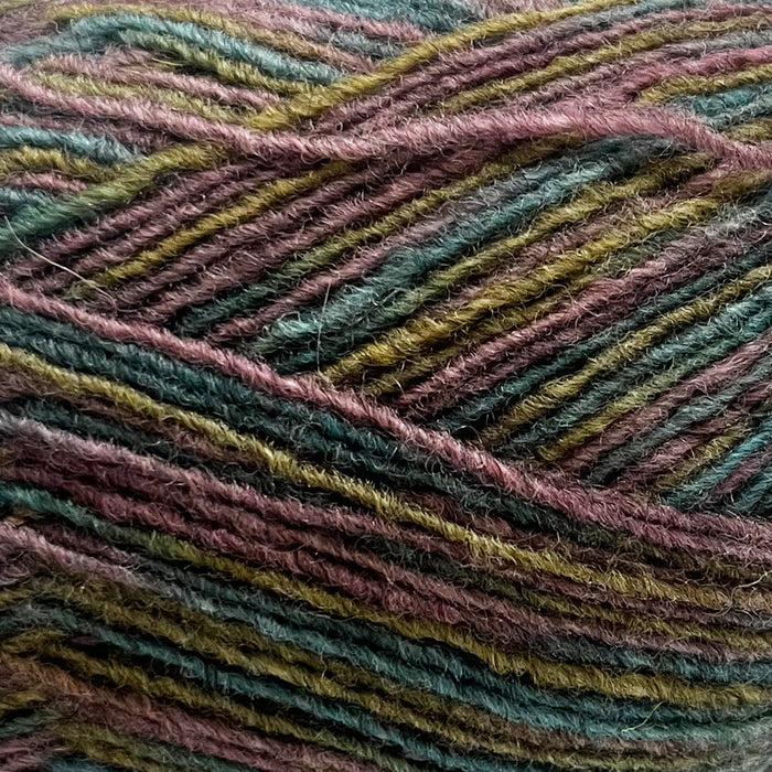 Luxurious Naturally Omana Print yarn for Omana Shawl Collar Sweater & Hat Knit Kit, featuring rich self-patterning colors and soft 4ply texture.