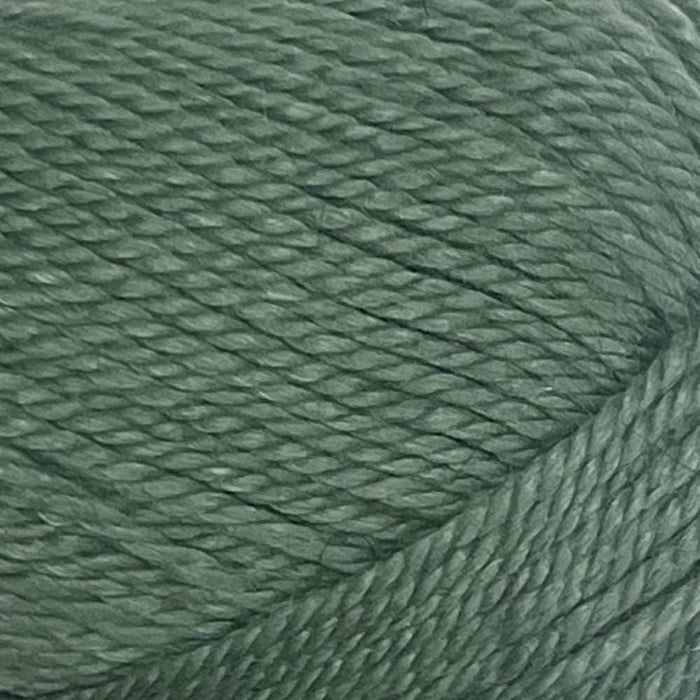 Cabled Beanie Knit Kit-Needlecraft Kits-Wild & Woolly Yarns-Sage Green (006)-Wild & Woolly Yarns
