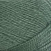 Cabled Beanie Knit Kit-Needlecraft Kits-Wild & Woolly Yarns-Sage Green (006)-Wild & Woolly Yarns