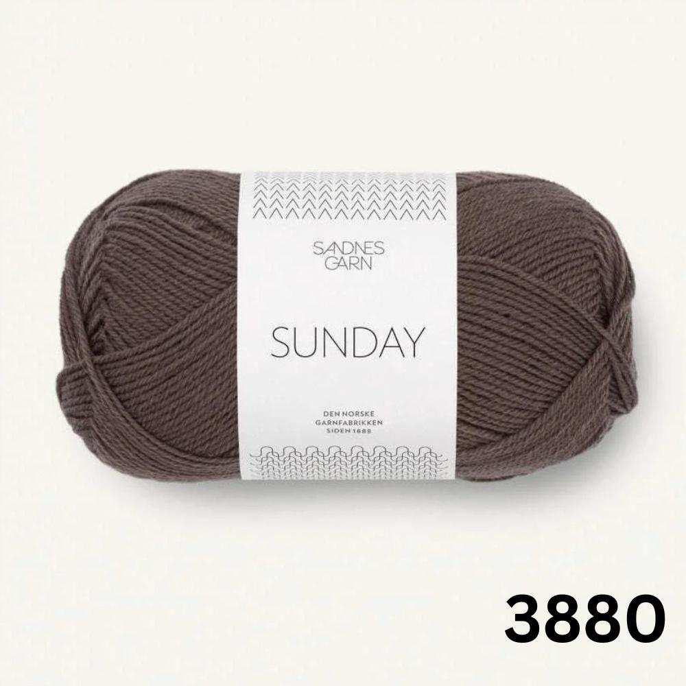 Sandnes Garn Sunday - 4ply-Yarn-Ribbon Rose-Dark Chocolate (3880) *NEW*-Wild & Woolly Yarns