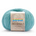 Sesia Bio Sesia 5 Organic Cotton-Yarn-Wild and Woolly Yarns