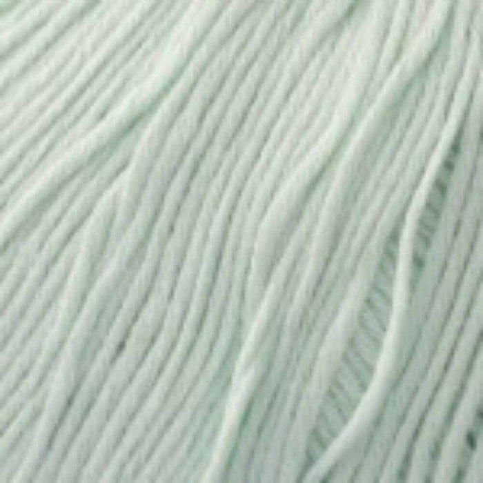 Sesia Bio Sesia 5 Organic Cotton-Yarn-Wild and Woolly Yarns