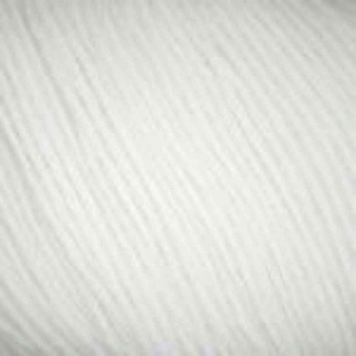 Sesia Bio Sesia 5 Organic Cotton - 4Ply-Yarn-Wentworth Distributors-White (0051)-Wild & Woolly Yarns