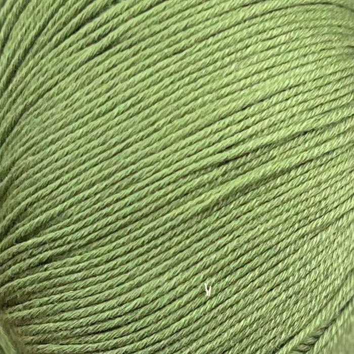 Sesia Bio Sesia 5 Organic Cotton - 4Ply-Yarn-Wentworth Distributors-Avocado (0187)-Wild & Woolly Yarns