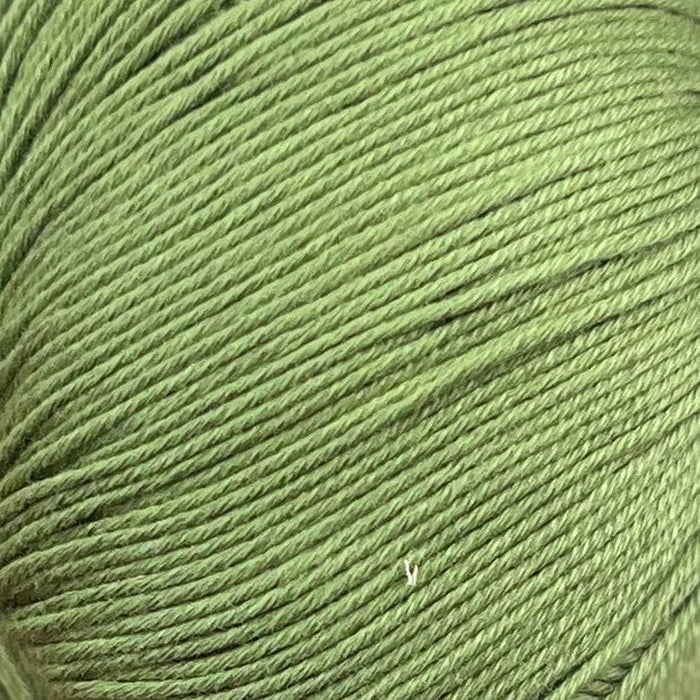 Sesia Bio Sesia 5 Organic Cotton - 4Ply-Yarn-Wentworth Distributors-Avocado (0187) *NEW*-Wild & Woolly Yarns