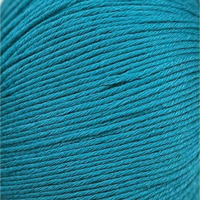 Sesia Bio Sesia 5 Organic Cotton - 4Ply-Yarn-Wentworth Distributors-Genoa (3170)-Wild & Woolly Yarns