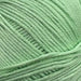 Sesia Bio Sesia 5 Organic Cotton-Yarn-Wild and Woolly Yarns