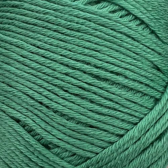 Sesia Bio Sesia 5 Organic Cotton-Yarn-Wild and Woolly Yarns