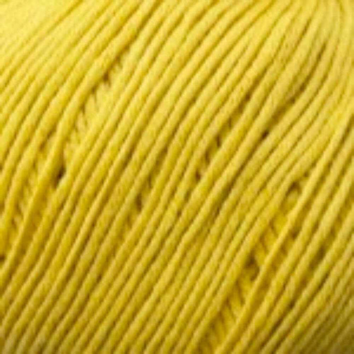 Sesia Bio Sesia 5 Organic Cotton-Yarn-Wild and Woolly Yarns