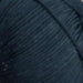 Sesia Bio Sunny - 8ply Cotton-Yarn-Wentworth Distributors-Jet (0067)-Wild & Woolly Yarns