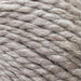 Sesia Echos Organic Merino - 14Ply (Chunky)-Yarn-Wild and Woolly Yarns